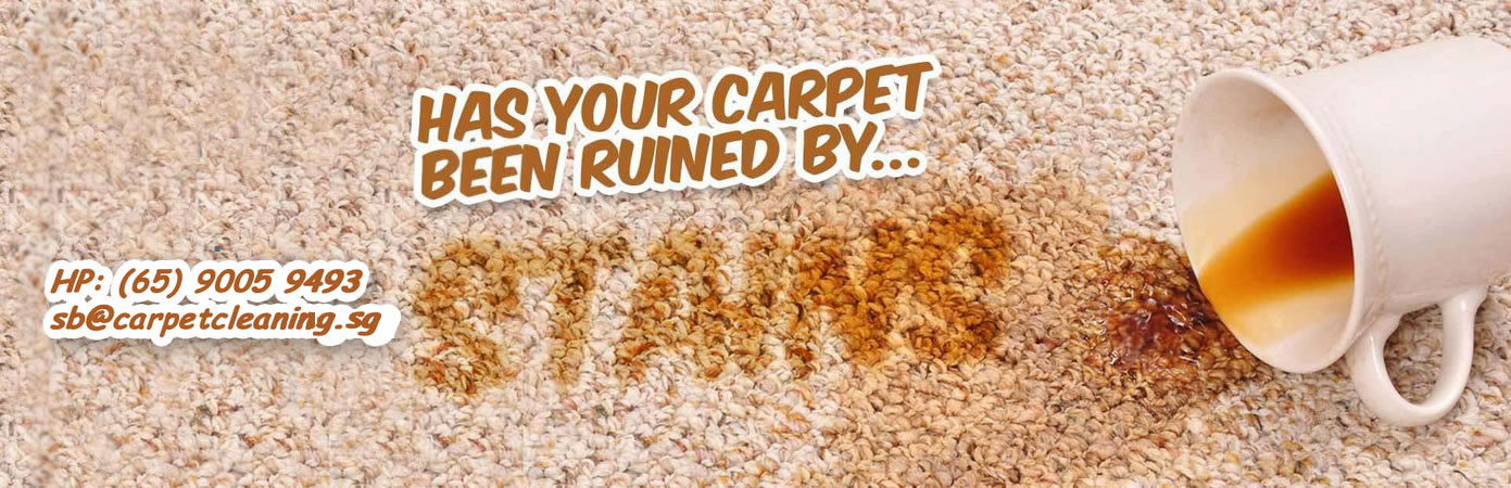 carpet cleaning specialists in singapore